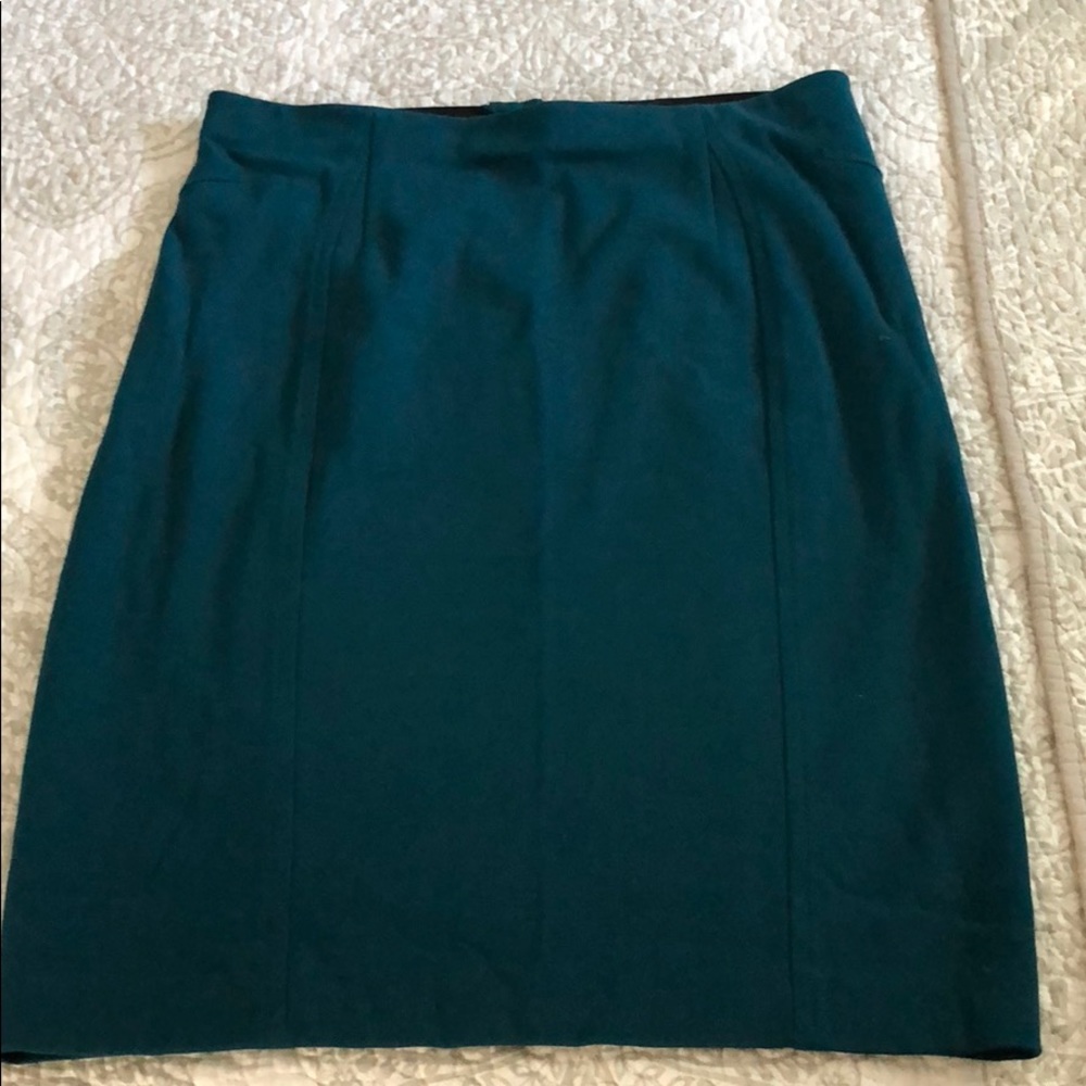 Ann Taylor Knee Length Skirt Size 6